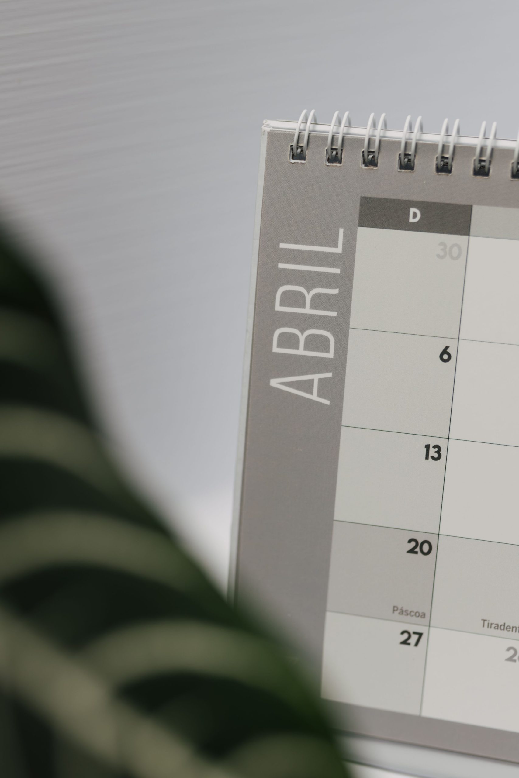 Conseils pratiques pour le calendrier du jardinier 2026