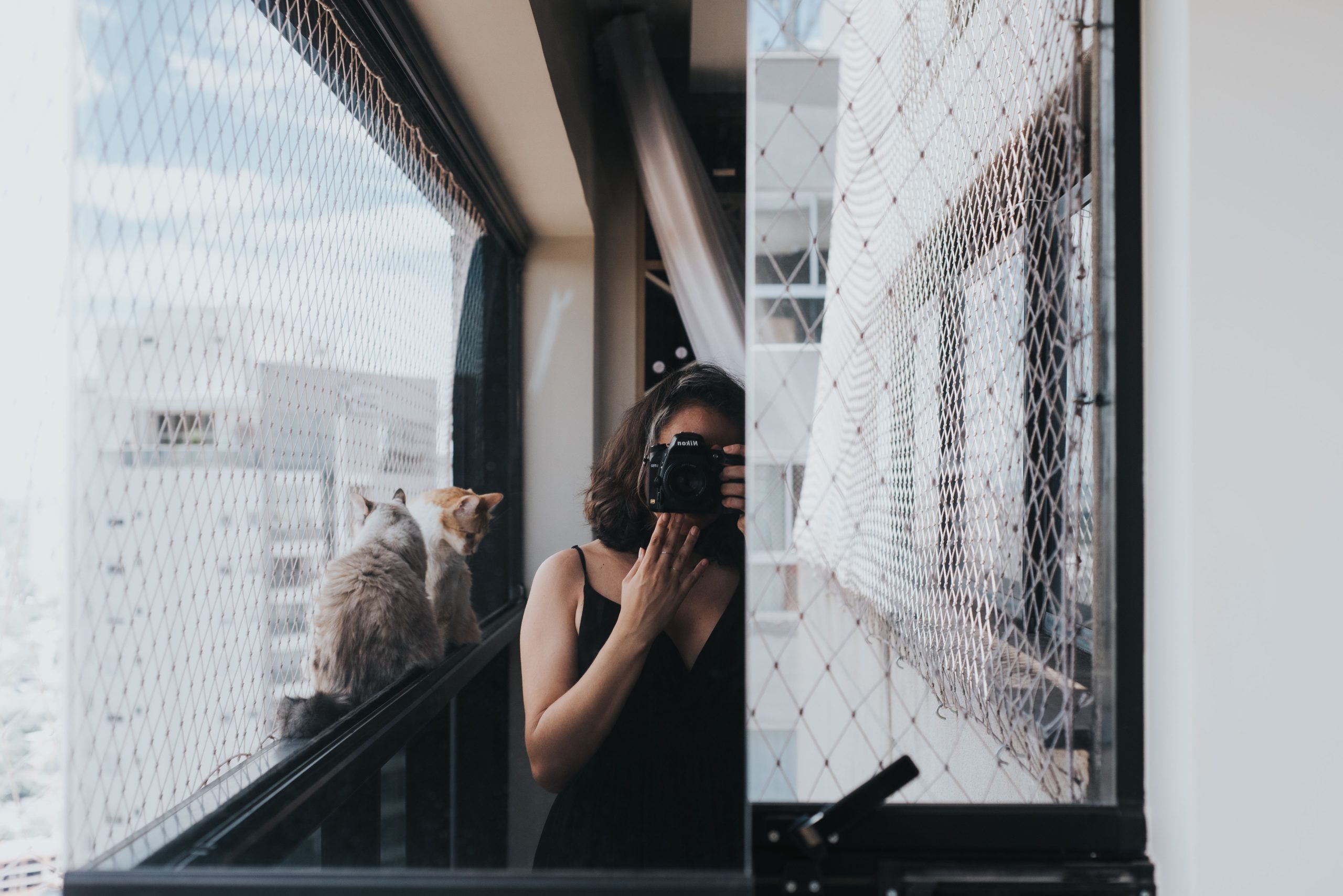 Femme photographe avec deux chats sur balcon