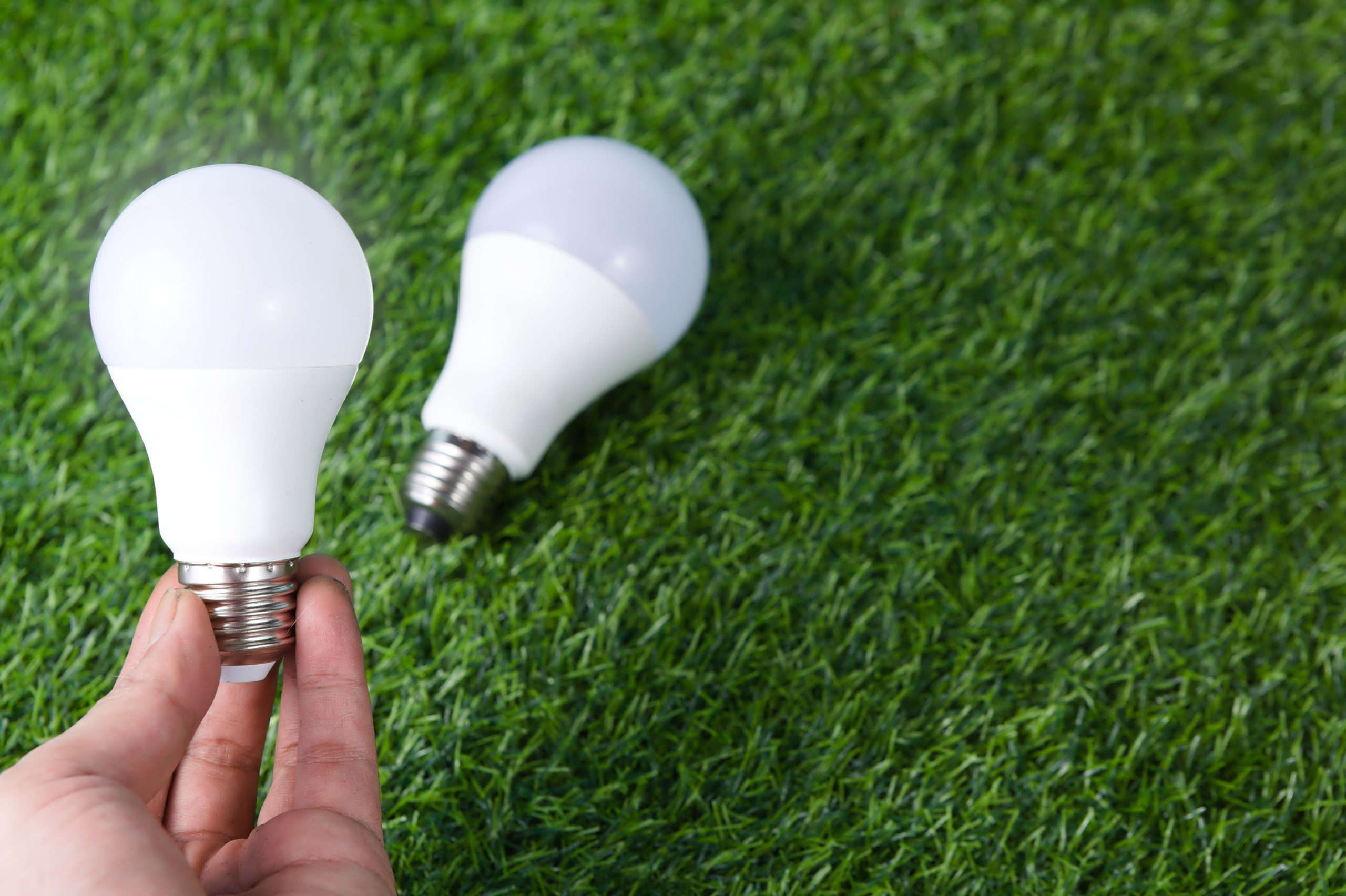 Main tenant ampoule LED sur herbe verte