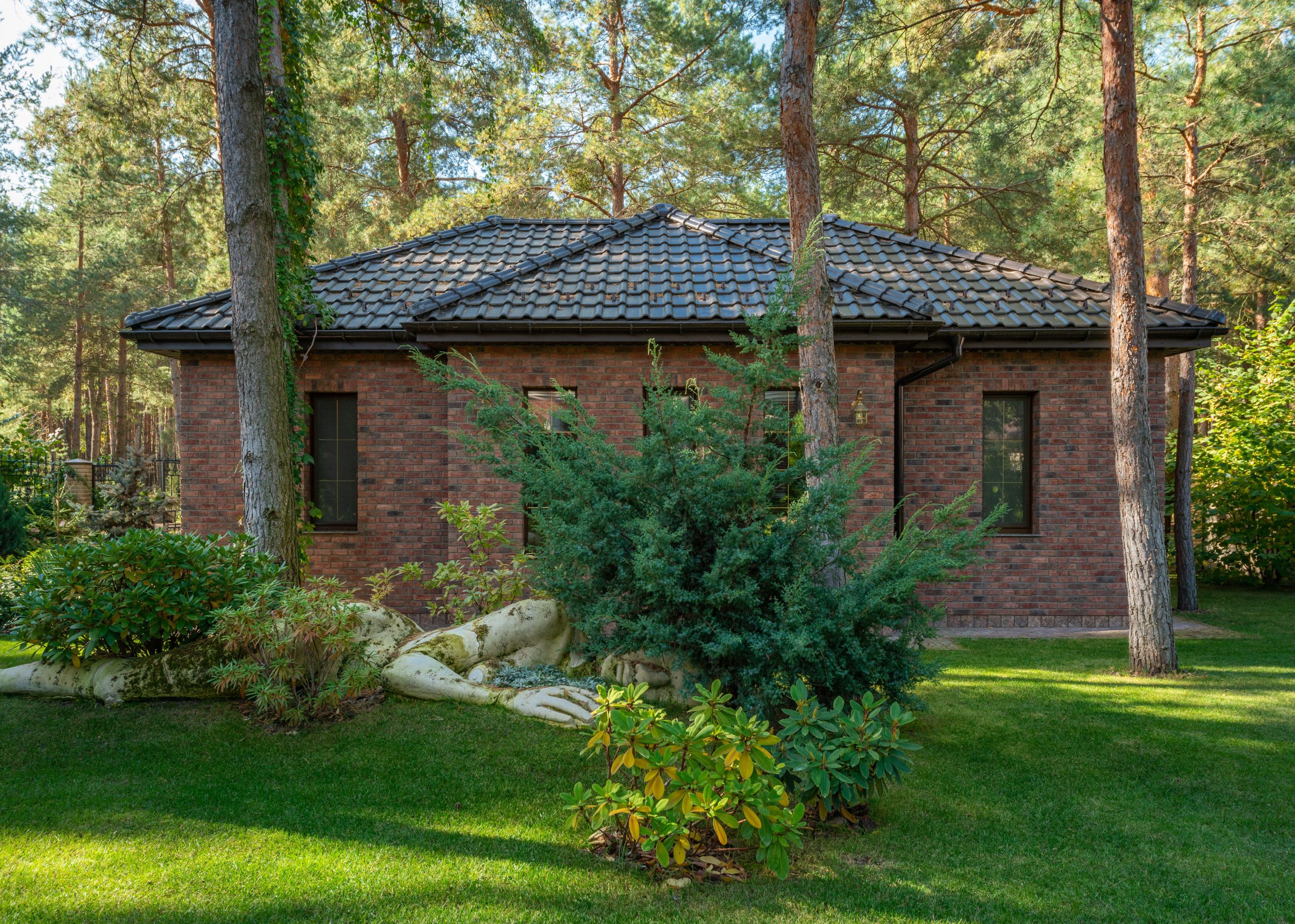 Maison moderne entourée forêt et pelouse